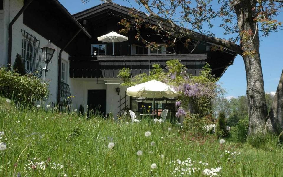 Ferienhaus Nest Blaichach Exteriör bild